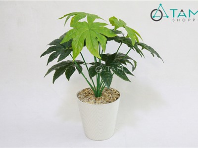 Chậu cây xanh giả để bàn Lá đủ xanh cao 60cm số 66